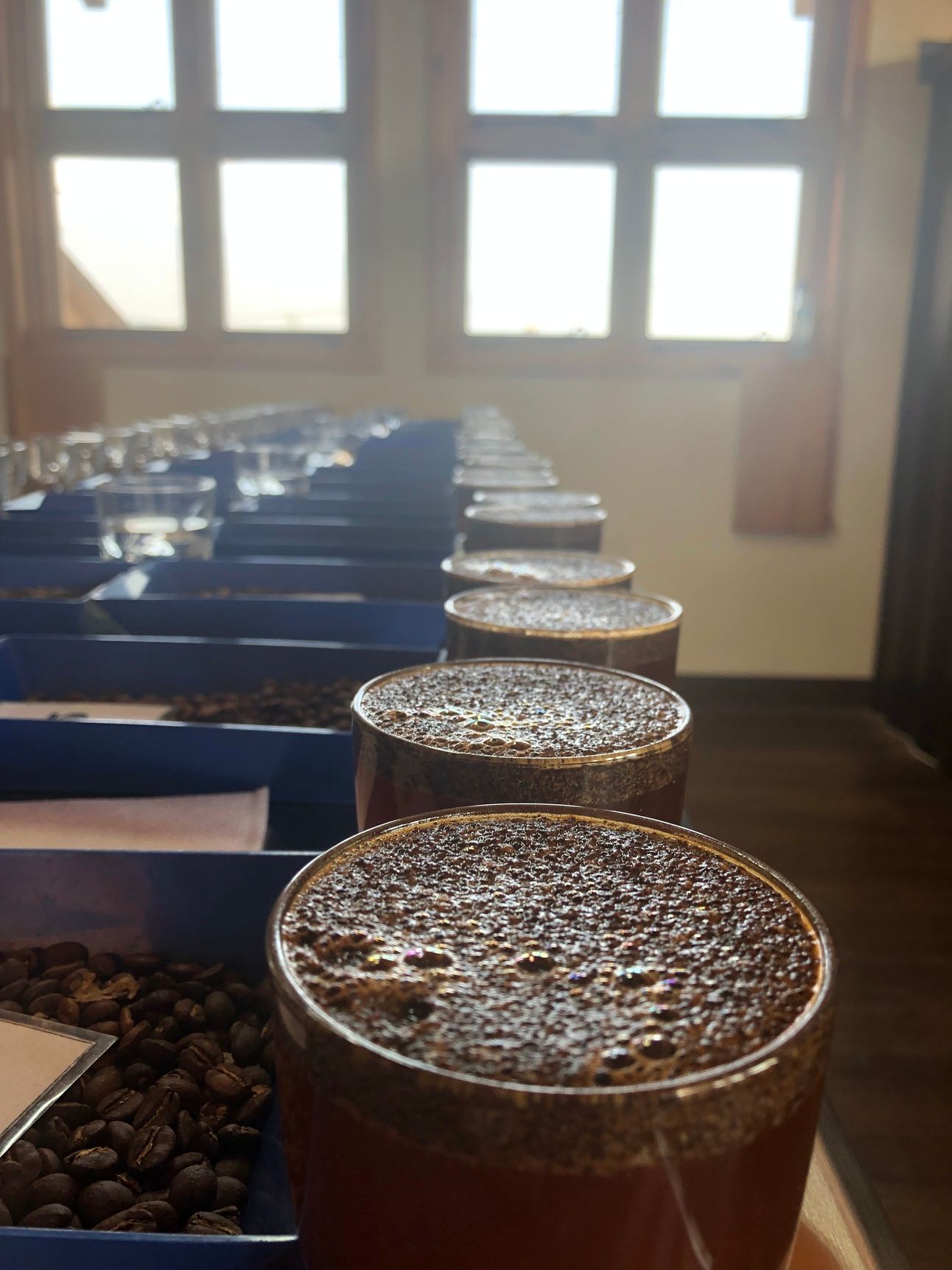 Beyond the Brew: Where Your Coffee Goes After the Cup